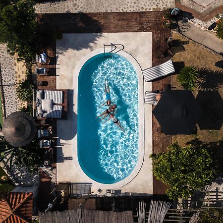 Joao Jungle Apartment Acafora Luaran gambar