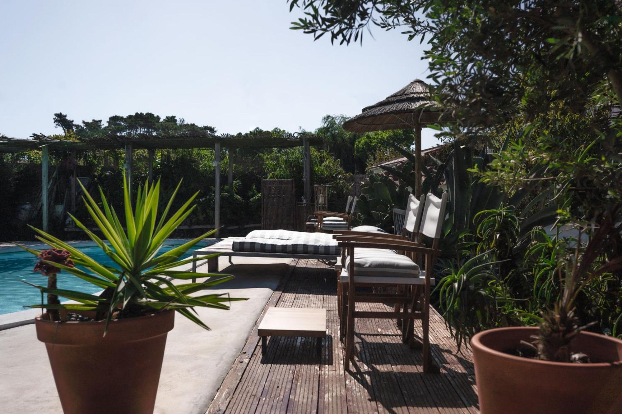 Joao Jungle Apartment Acafora Luaran gambar